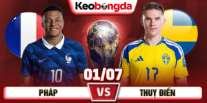 pháp-vs-thuỵ-điển-1_7